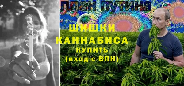 apvp Алексин
