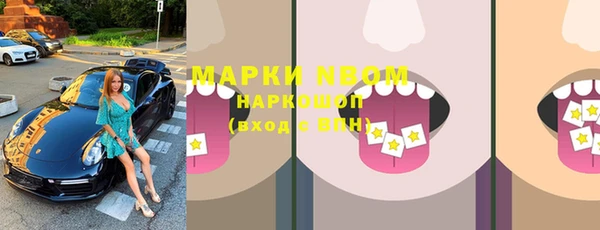 apvp Алзамай