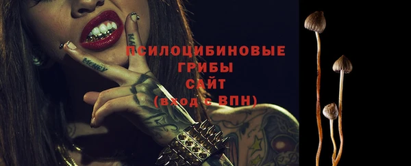apvp Алзамай