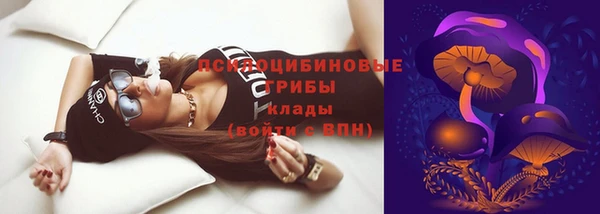 jwh Саяногорск