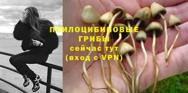 apvp Алексин