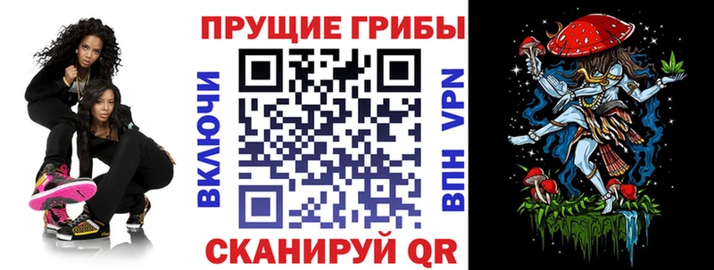 купить наркоту  Амурск  Псилоцибиновые грибы мицелий 