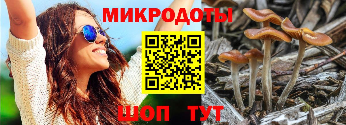 Псилоцибиновые грибы мицелий Амурск